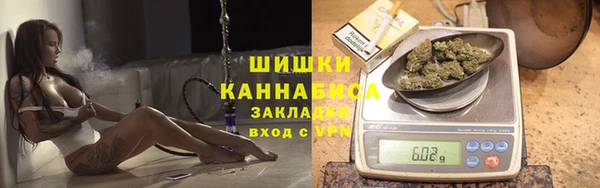 PSILOCYBIN Вязники