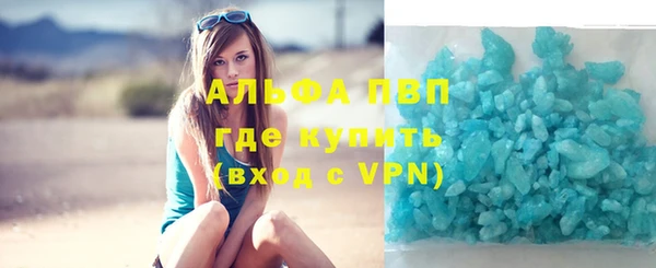 PSILOCYBIN Вязники