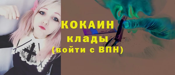 PSILOCYBIN Вязники