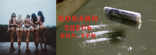 дмт Няндома
